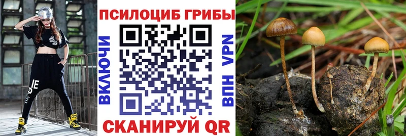 гидра tor  сколько стоит  Печоры  Псилоцибиновые грибы прущие грибы 